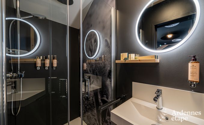 Ferienhaus Tenneville 10 Pers. Ardennen Schwimmbad Wellness