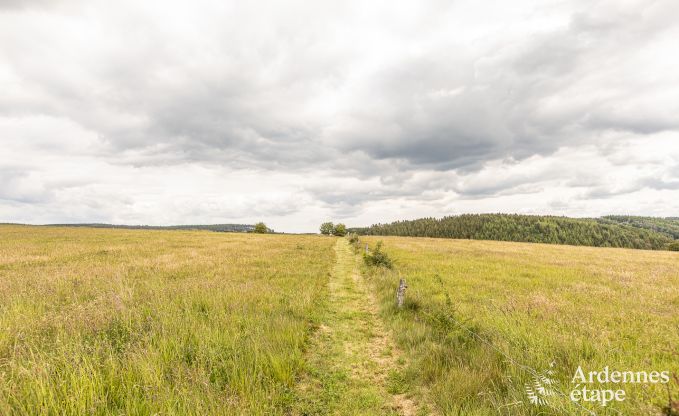 Luxusvilla Tenneville 28 Pers. Ardennen Wellness