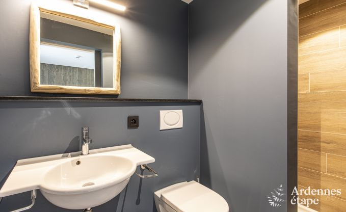 Luxusvilla Tenneville 28 Pers. Ardennen Wellness