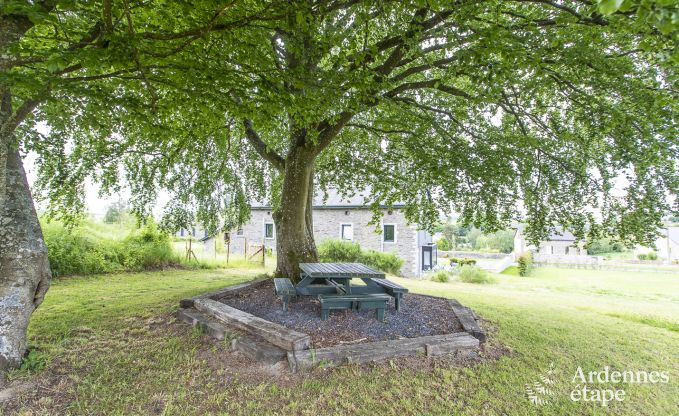 Luxusvilla Tenneville 28 Pers. Ardennen Wellness