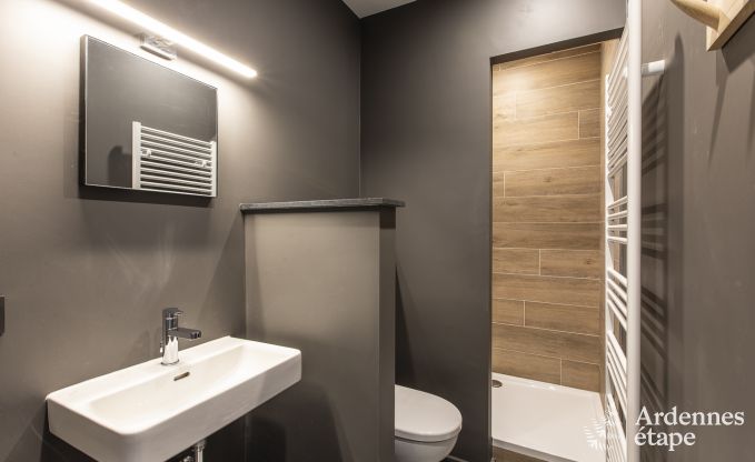 Luxusvilla Tenneville 28 Pers. Ardennen Wellness