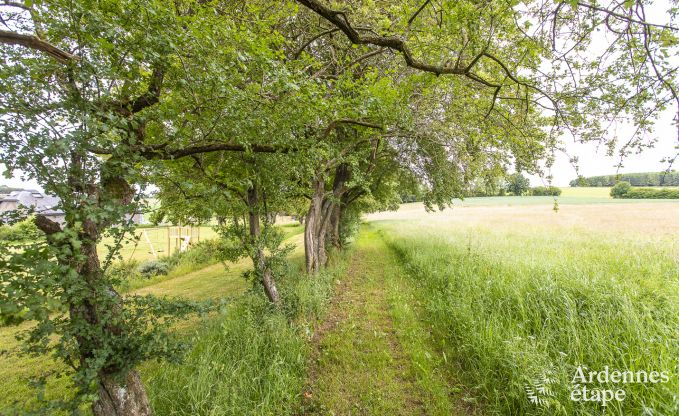 Luxusvilla Tenneville 28 Pers. Ardennen Wellness