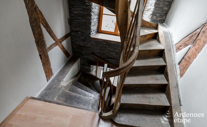 Luxusvilla Tenneville 26 Pers. Ardennen Schwimmbad Wellness