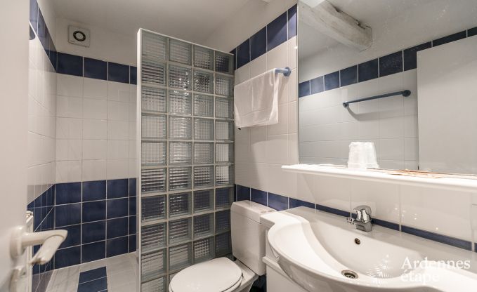 Luxusvilla Tenneville 26 Pers. Ardennen Schwimmbad Wellness