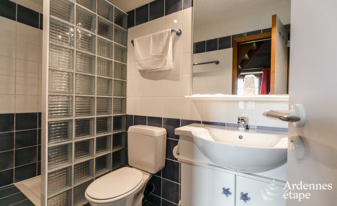 Luxusvilla Tenneville 26 Pers. Ardennen Schwimmbad Wellness