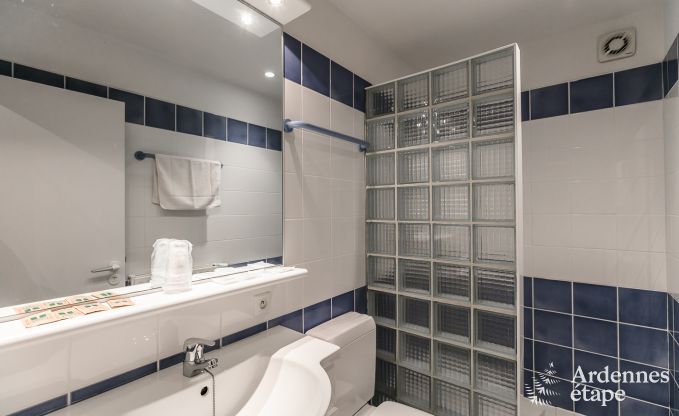 Luxusvilla Tenneville 26 Pers. Ardennen Schwimmbad Wellness