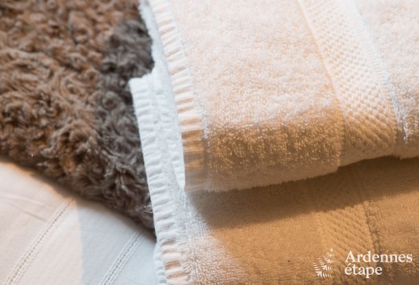 Ferienhaus Tenneville 8 Pers. Ardennen