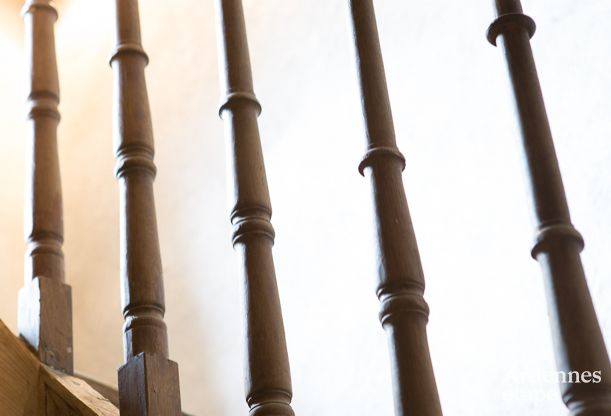 Ferienhaus Tenneville 8 Pers. Ardennen