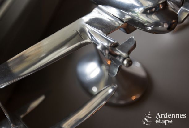 Ferienhaus Tenneville 8 Pers. Ardennen