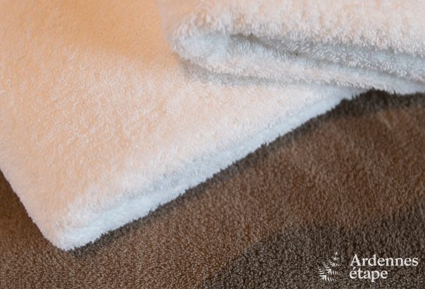 Ferienhaus Tenneville 8 Pers. Ardennen