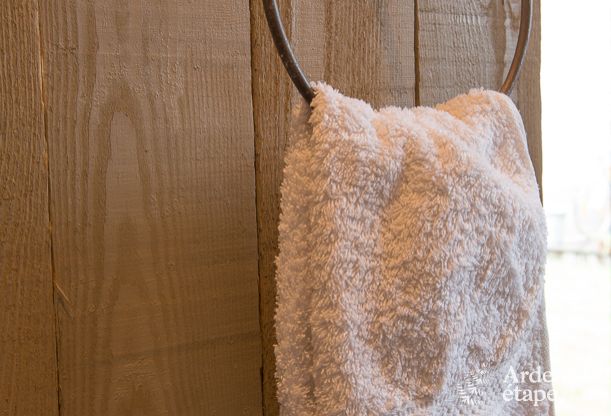 Ferienhaus Tenneville 8 Pers. Ardennen