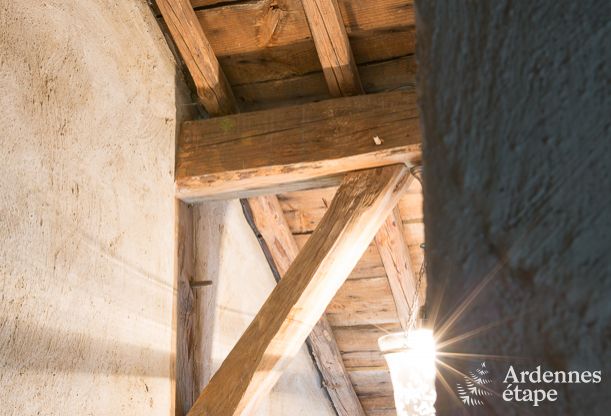 Ferienhaus Tenneville 8 Pers. Ardennen