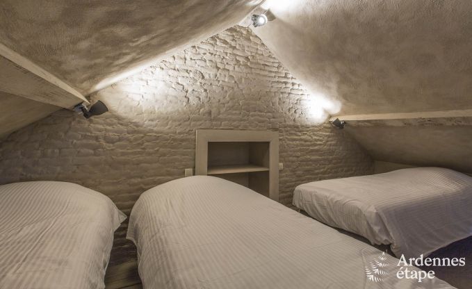 Ferienhaus Tenneville 13 Pers. Ardennen Wellness