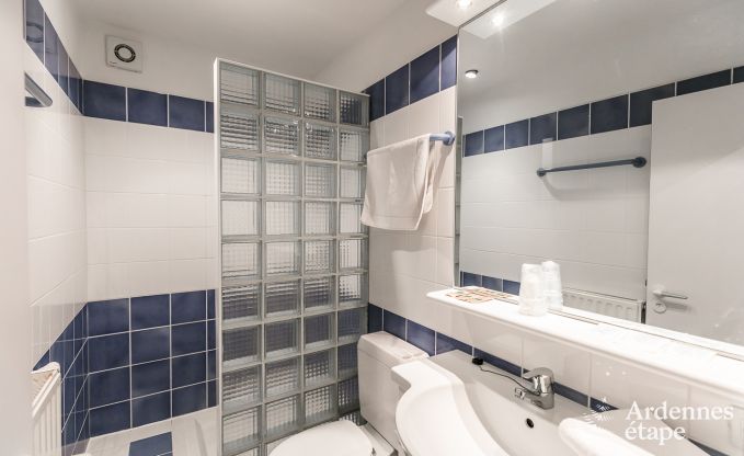 Luxusvilla Tenneville 26 Pers. Ardennen Schwimmbad Wellness