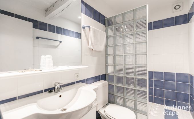 Luxusvilla Tenneville 26 Pers. Ardennen Schwimmbad Wellness