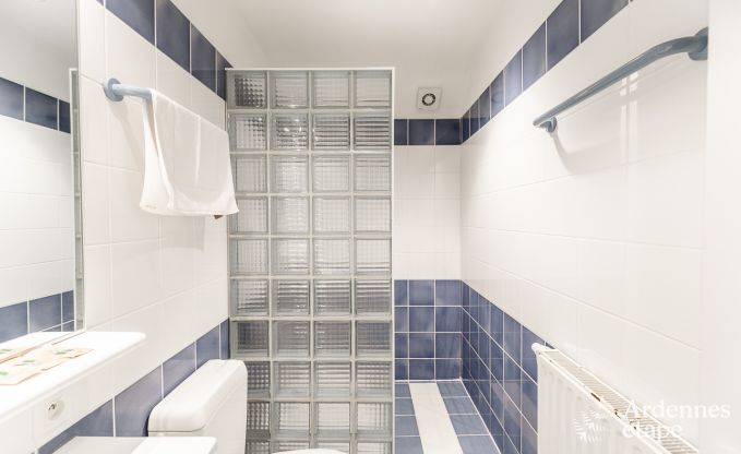 Luxusvilla Tenneville 26 Pers. Ardennen Schwimmbad Wellness