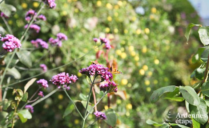 Cottage Theux (Spa) 2 Pers. Ardennen