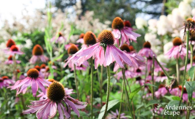 Cottage Theux (Spa) 2 Pers. Ardennen