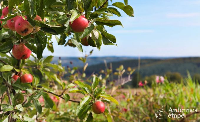 Cottage Theux (Spa) 2 Pers. Ardennen