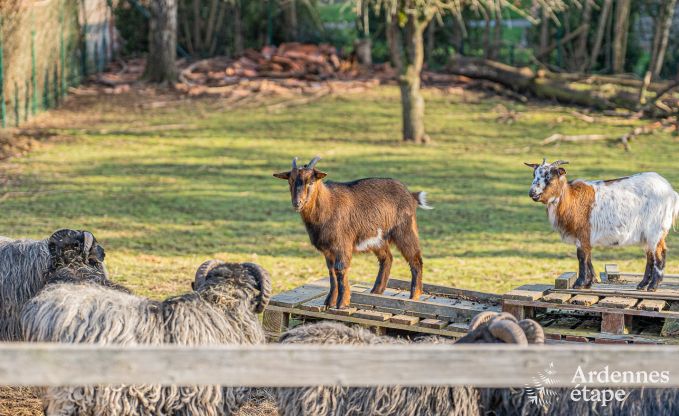 Ferienhaus Theux 8 Pers. Ardennen