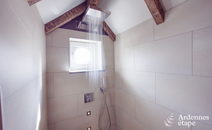 Luxusvilla Theux 2/5 Pers. Ardennen Schwimmbad Wellness