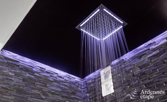 Luxusvilla Theux 2/5 Pers. Ardennen Schwimmbad Wellness