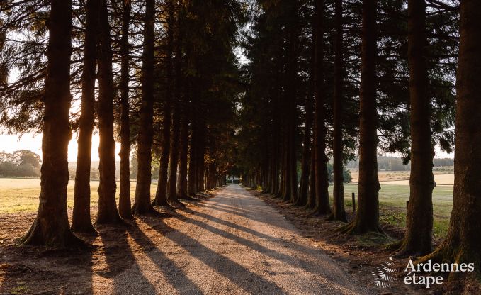 Schloss Theux 40 Pers. Ardennen