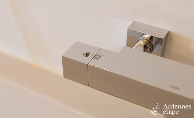 Luxusvilla Theux 14 Pers. Ardennen Wellness