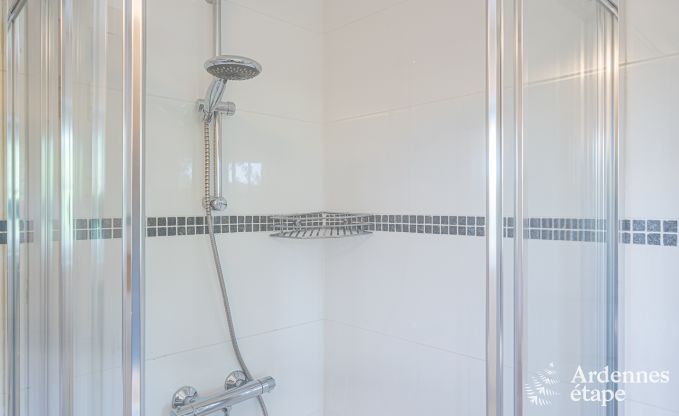 Luxusvilla Theux 12 Pers. Ardennen Schwimmbad Wellness