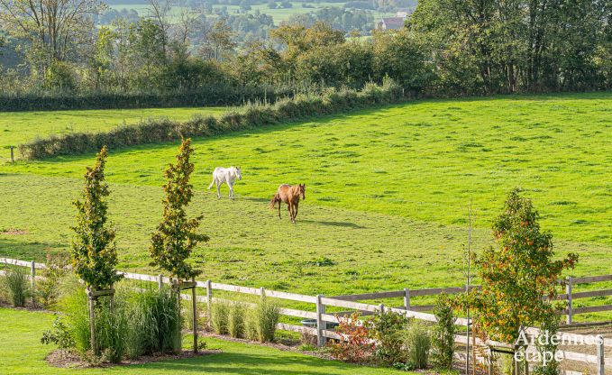 Loft Thimister-Clermont 2 Pers. Ardennen Wellness