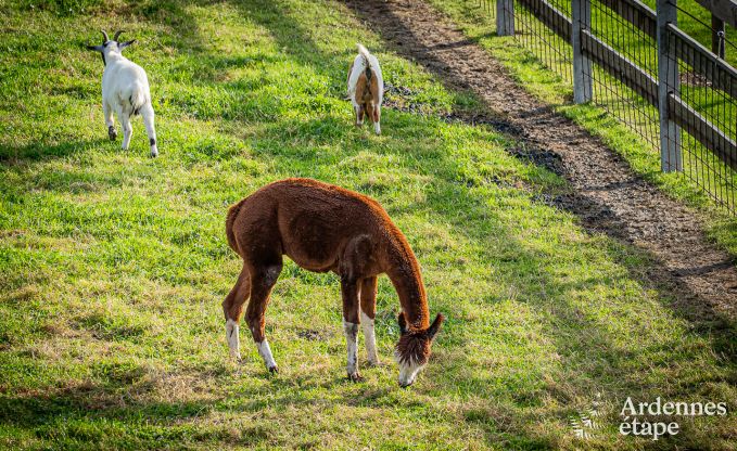Loft Thimister-Clermont 2 Pers. Ardennen Wellness