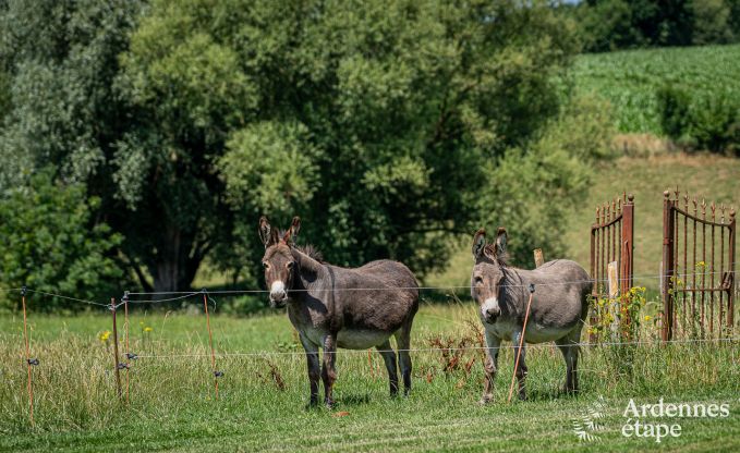 Ferienhaus Thimister-Clermont 2 Pers. Ardennen