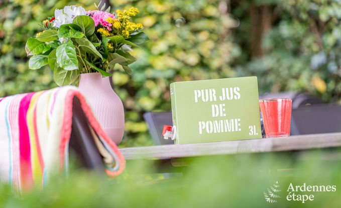 Ferienhaus Thuin 8 Pers. Ardennen Wellness