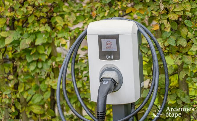 Ferienhaus Thuin 8 Pers. Ardennen Wellness