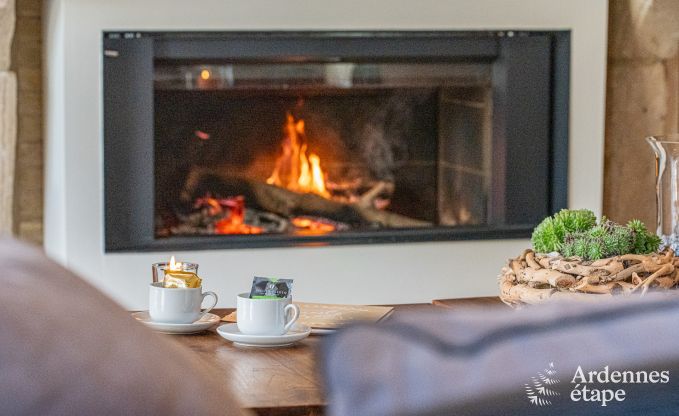 Ferienhaus Thuin 8 Pers. Ardennen Wellness