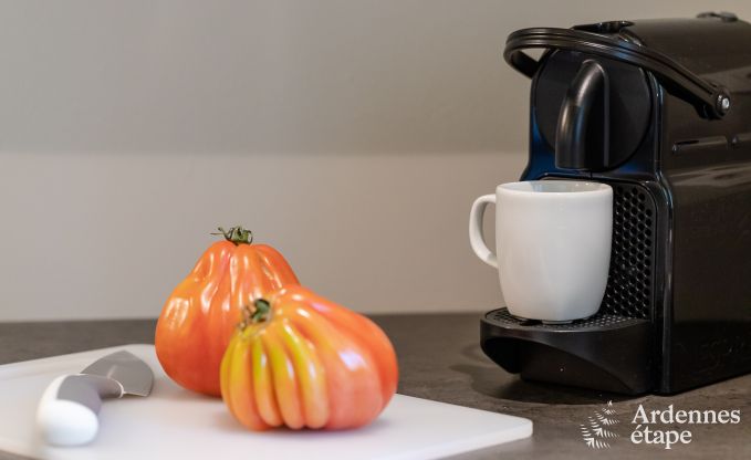 Ferienhaus Tinlot 2/4 Pers. Ardennen Schwimmbad