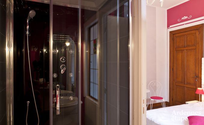 Schloss Tintigny 20 Pers. Ardennen Wellness