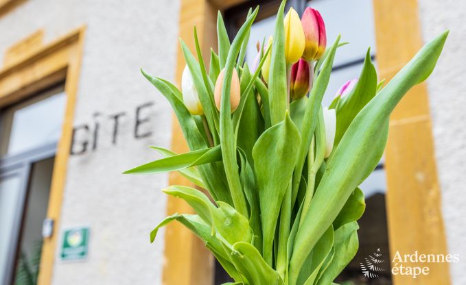 Ferienhaus Torgny 15 Pers. Ardennen
