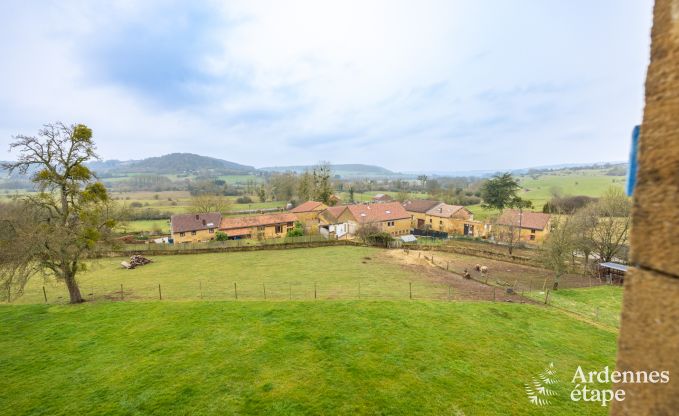 Ferienhaus Torgny 15 Pers. Ardennen