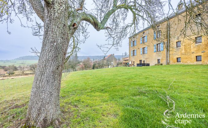 Ferienhaus Torgny 15 Pers. Ardennen