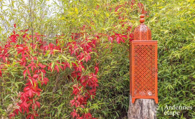Ferienhaus Torgny 22 Pers. Ardennen