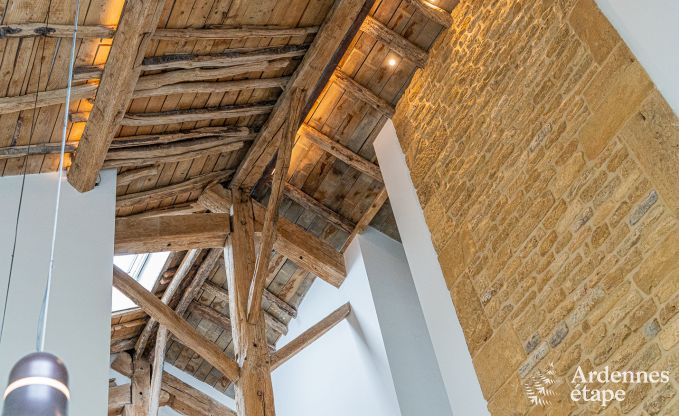 Luxusvilla Torgny 10 Pers. Ardennen Schwimmbad Behinderten gerecht