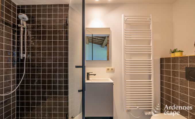 Luxusvilla Torgny 10 Pers. Ardennen Schwimmbad Behinderten gerecht