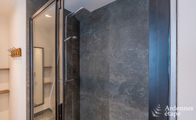 Luxusvilla Torgny 10 Pers. Ardennen Schwimmbad Behinderten gerecht