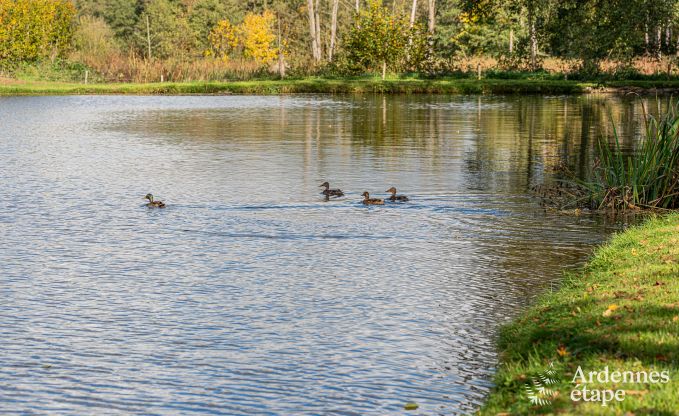 Gerumiges Chalet fr 8 Personen in Trois-Ponts mit Innen-Auenschwimmbad, Sauna und privater Terrasse am Wasser