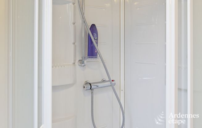 Ferienhaus Trois-Ponts 9 Pers. Ardennen Wellness