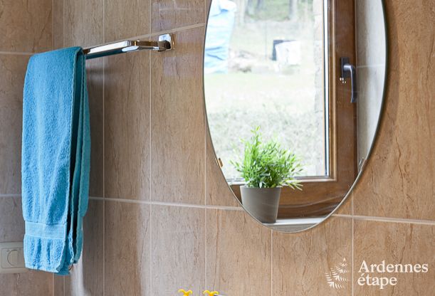 Ferienhaus Trois-Ponts 9 Pers. Ardennen Wellness