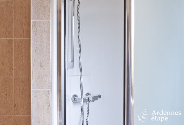 Ferienhaus Trois-Ponts 9 Pers. Ardennen Wellness