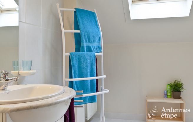 Ferienhaus Trois-Ponts 9 Pers. Ardennen Wellness