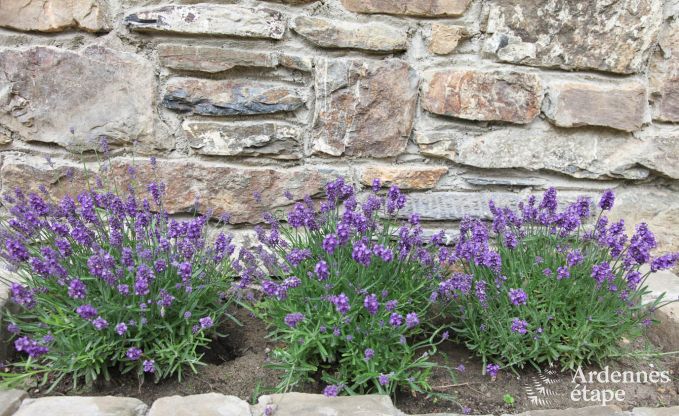 Ferienhaus Trois-Ponts 8 Pers. Ardennen